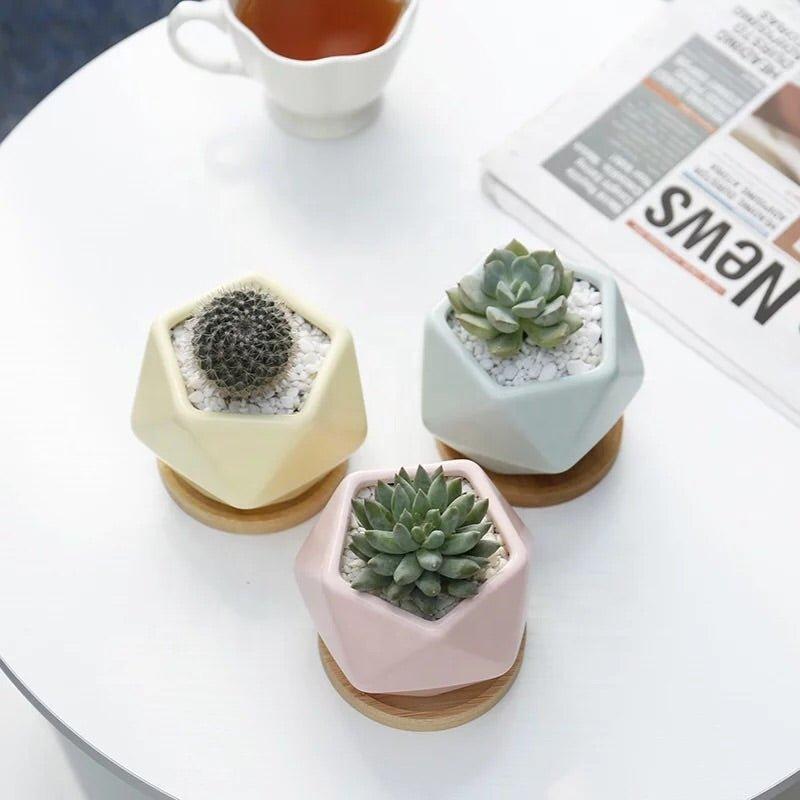 Pentagon Mouth Porcelain Succulent Pot (Set of Three)