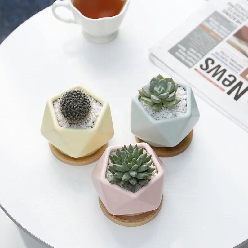 Pentagon Mouth Porcelain Succulent Pot (Set of Three)