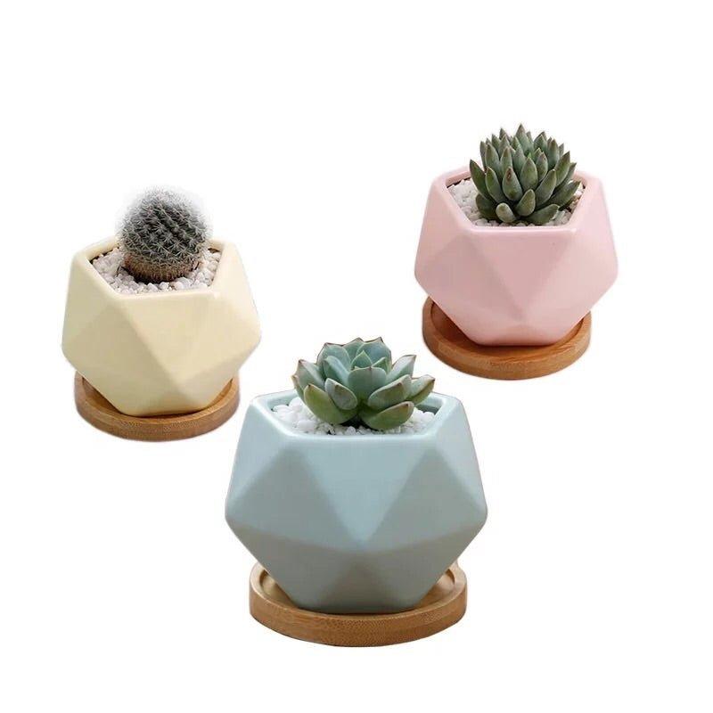Pentagon Mouth Porcelain Succulent Pot (Set of Three)