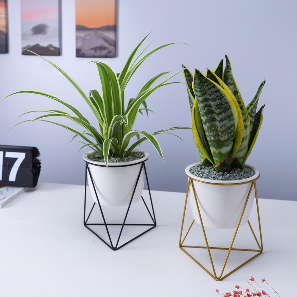 Porcelain Ceramic pot With Triangular Shape Iron Stand