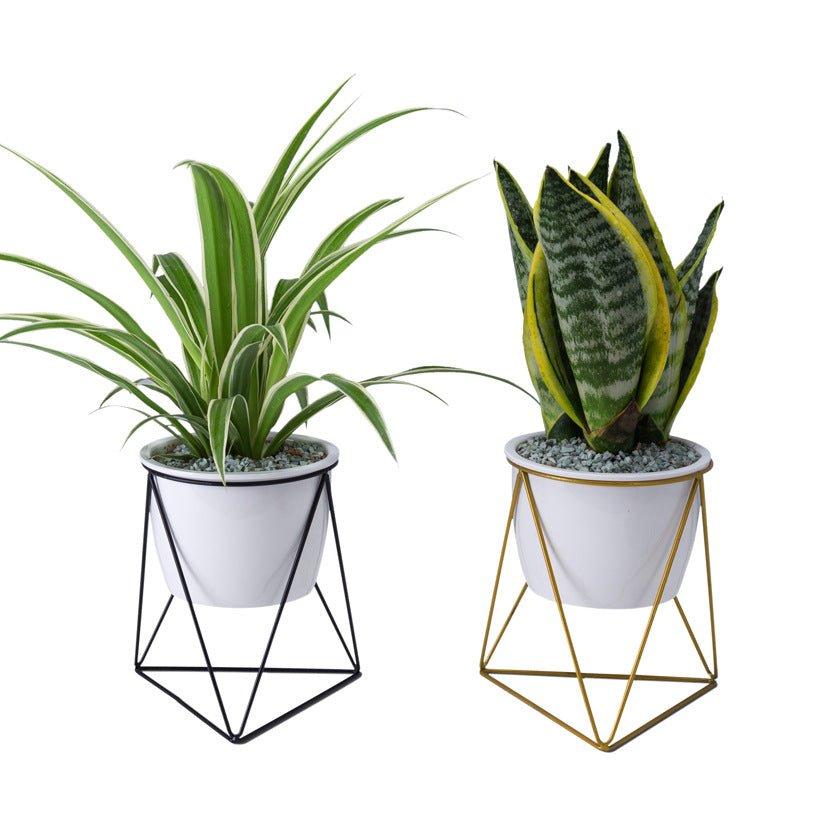 Porcelain Ceramic pot With Triangular Shape Iron Stand