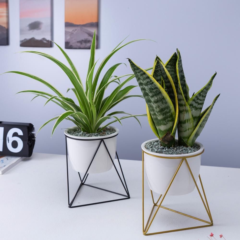 Porcelain Ceramic pot With Triangular Shape Iron Stand