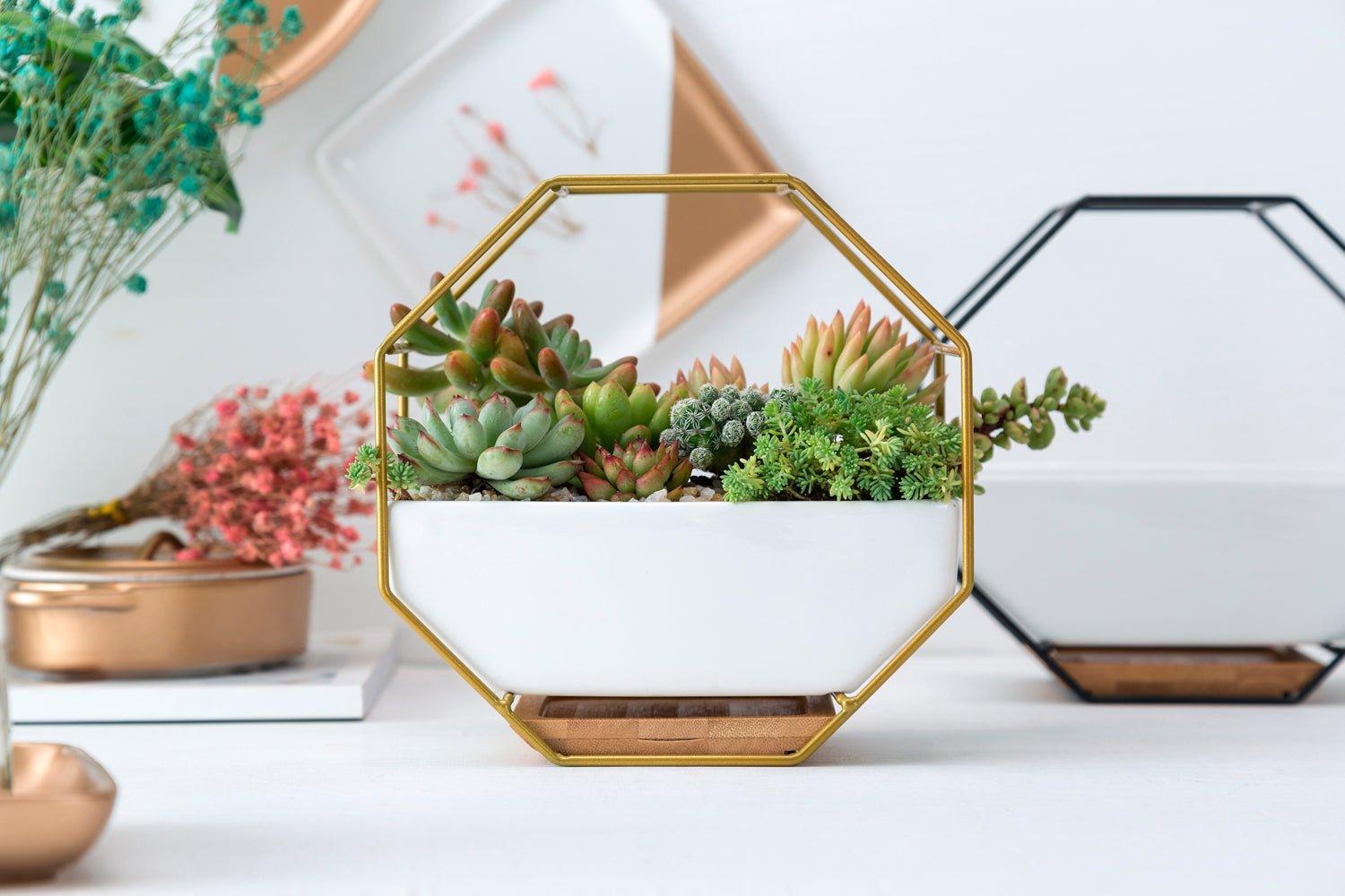 Porcelain Pot with Bamboo Saucer, In Octagon Iron Frame
