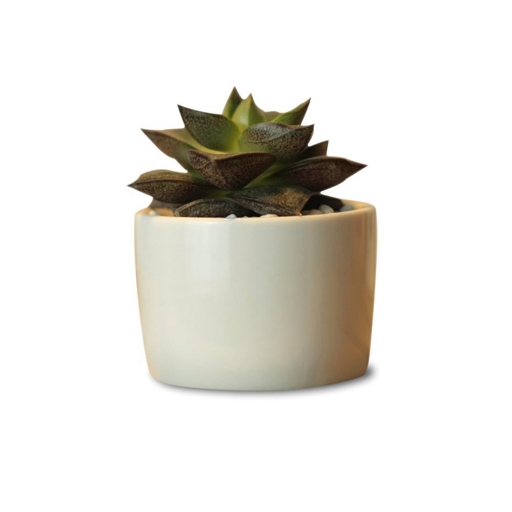 PP13 Token Size Cylinder Succulent Pot