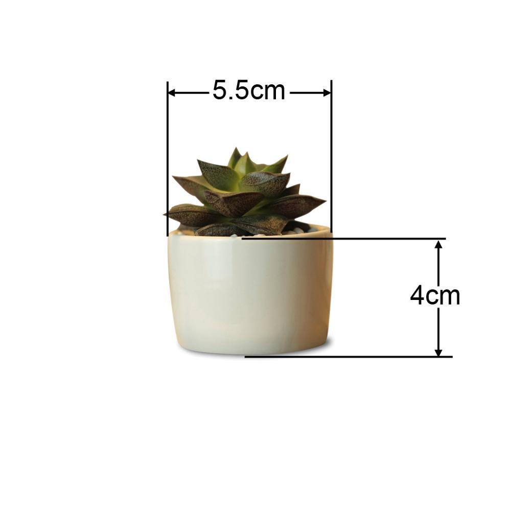 PP13 Token Size Cylinder Succulent Pot