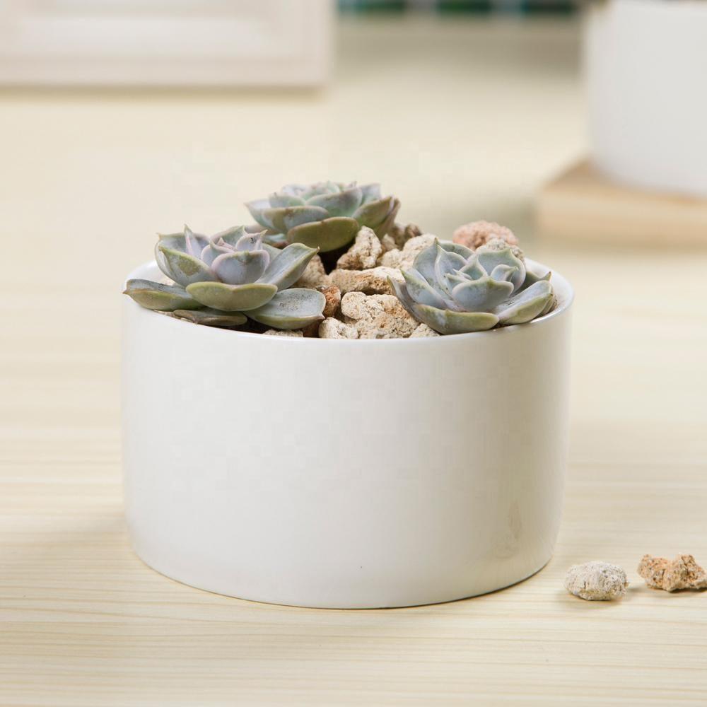 PP12 Short Wide Porcelain Succulent Desk Pot