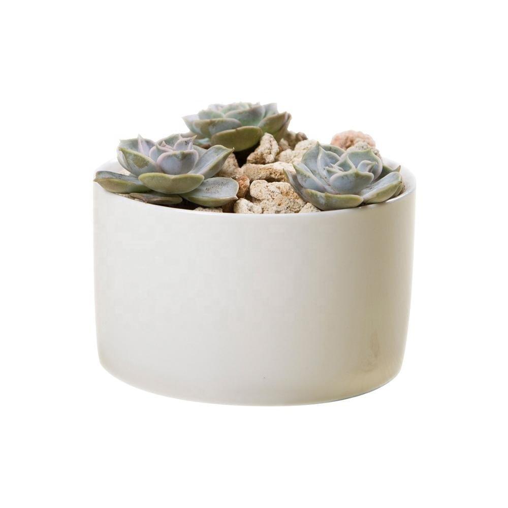 PP12 Short Wide Porcelain Succulent Desk Pot