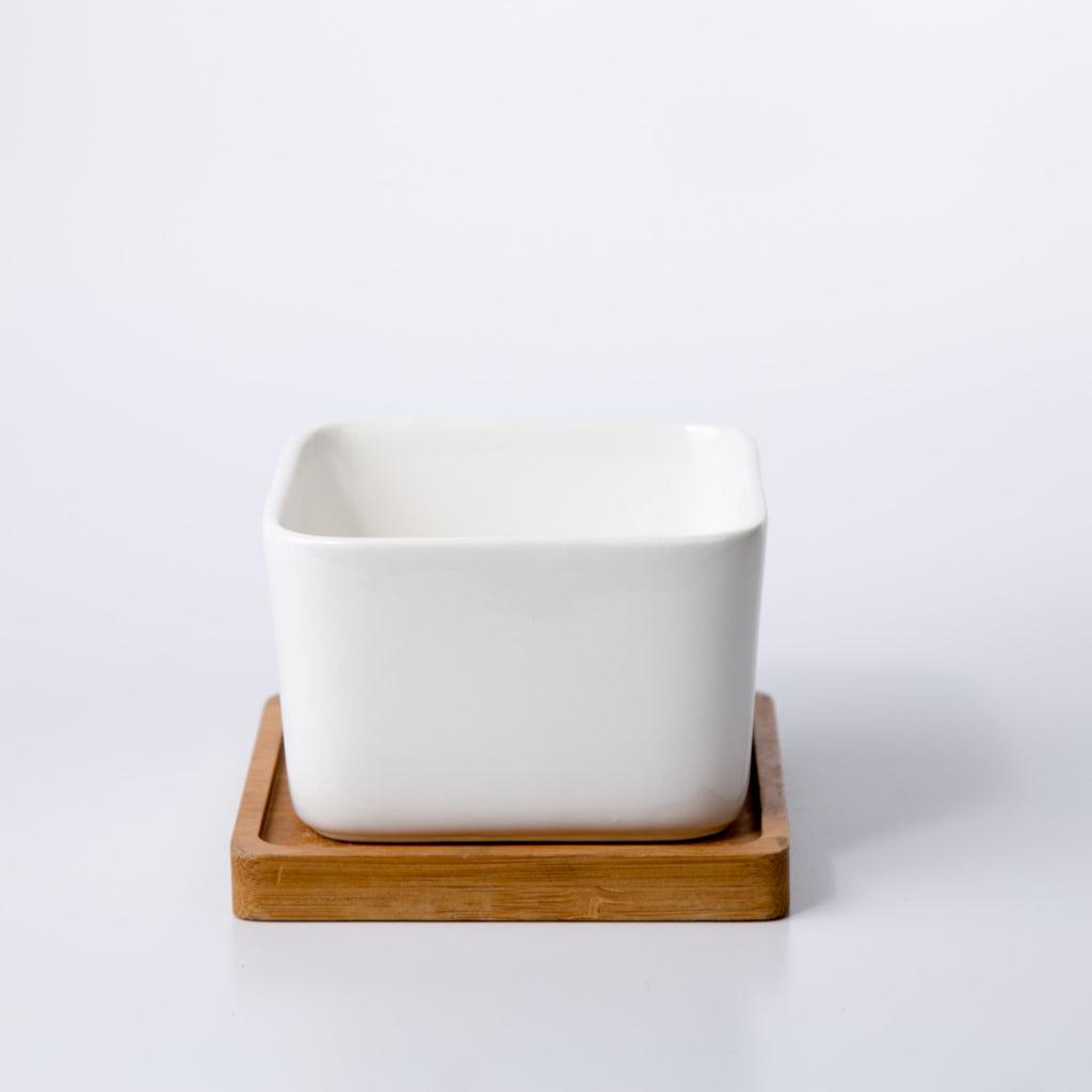 PP17/80 Square Succulent Desk Pot
