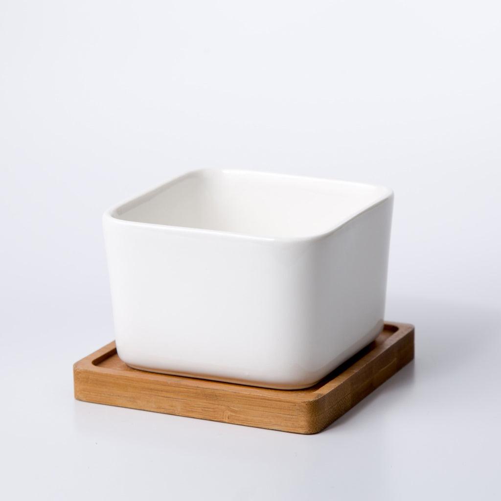 PP17/80 Square Succulent Desk Pot