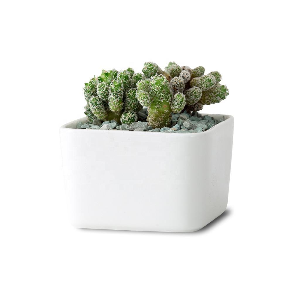PP17/80 Square Succulent Desk Pot
