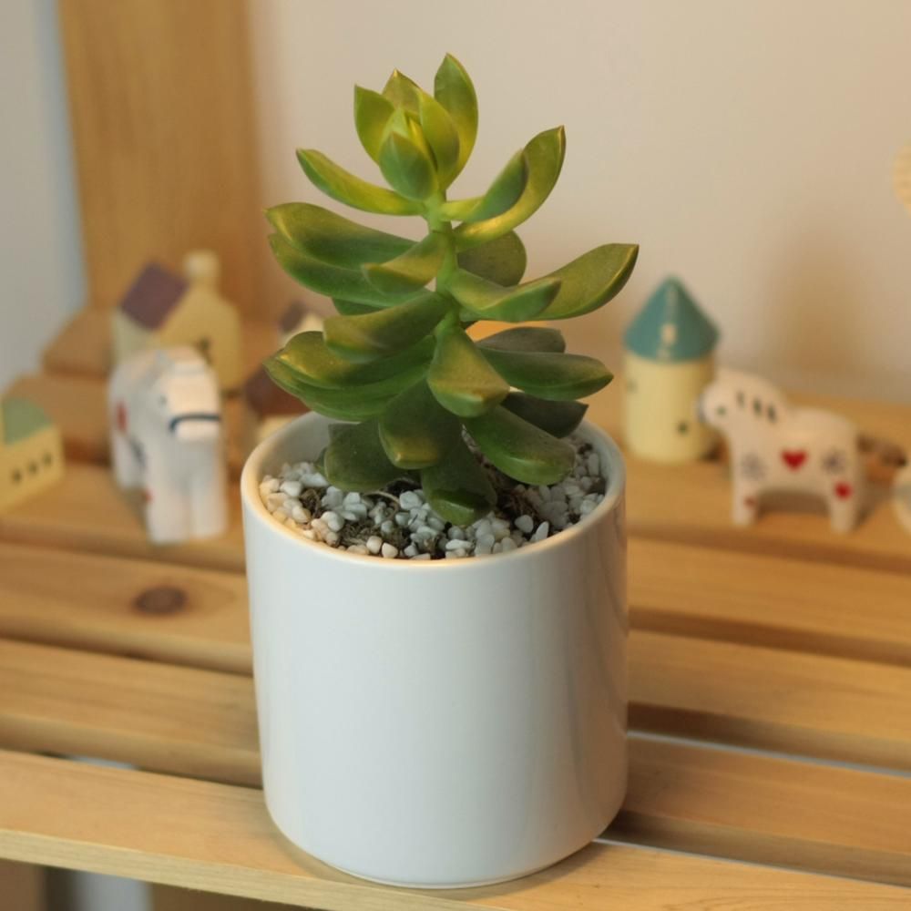 PP18 Cylinder Porcelain Desk Pot