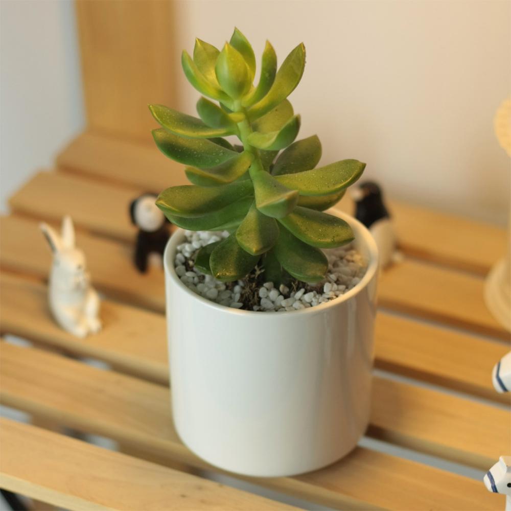 PP18 Cylinder Porcelain Desk Pot