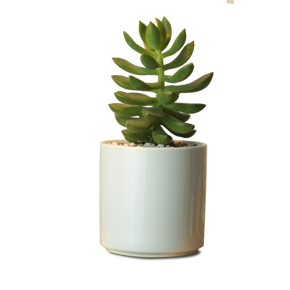 PP18 Cylinder Porcelain Desk Pot