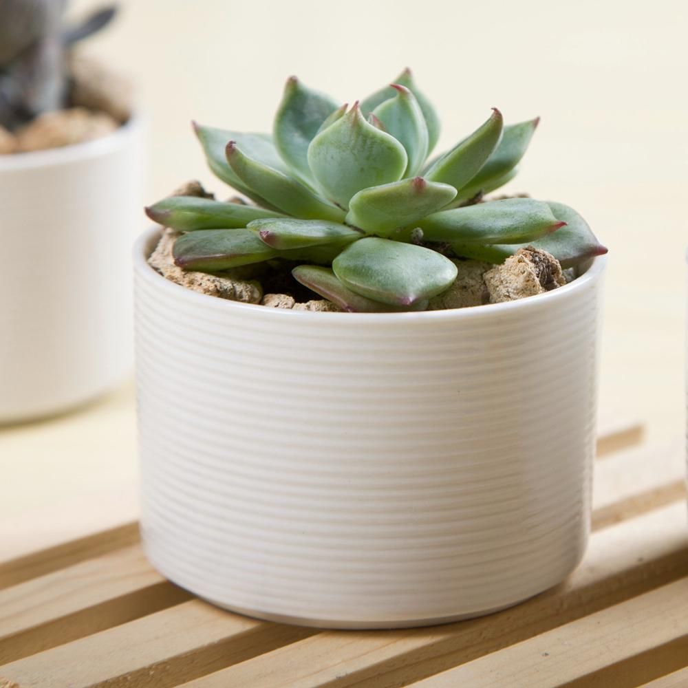 PP45 Textured Lines Cylinder Porcelain Desk Pot