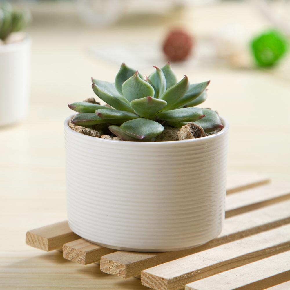 PP45 Textured Lines Cylinder Porcelain Desk Pot