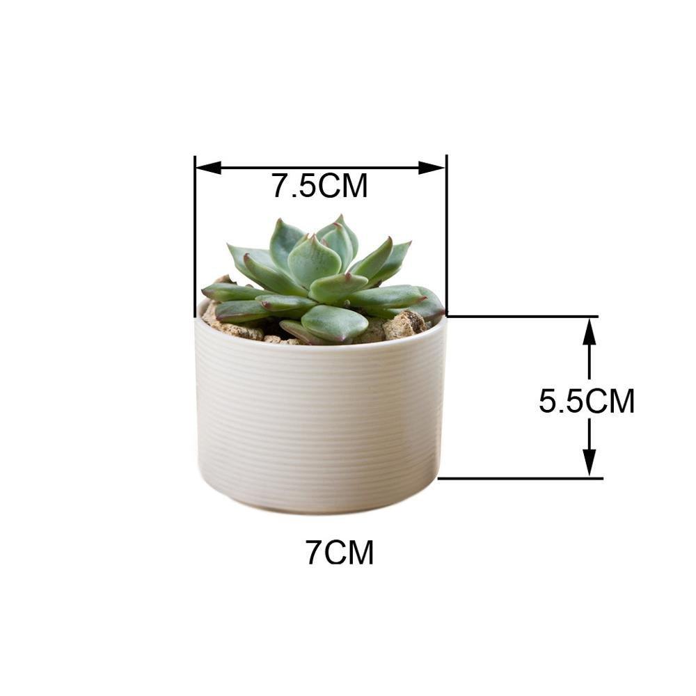 PP45 Textured Lines Cylinder Porcelain Desk Pot