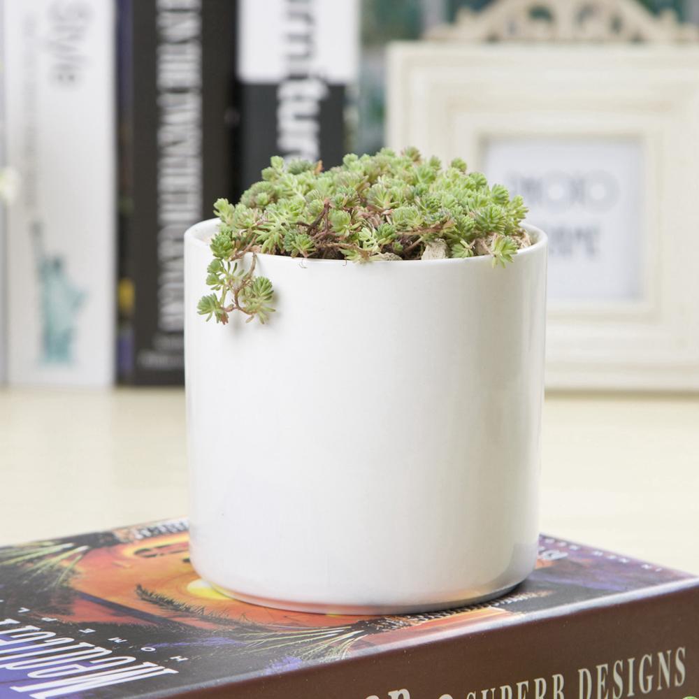PP6 Cylinder Porcelain Succulent Desk Pot