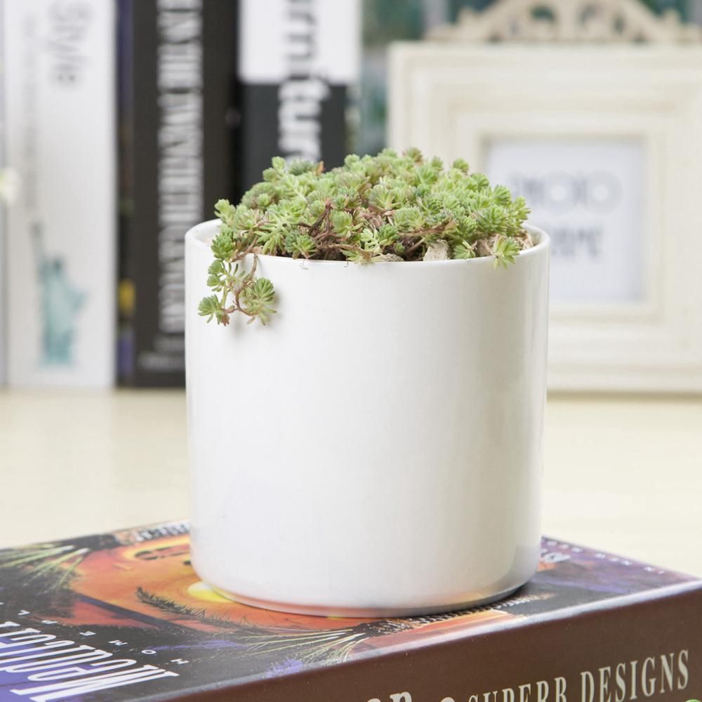 PP6 Cylinder Porcelain Succulent Desk Pot