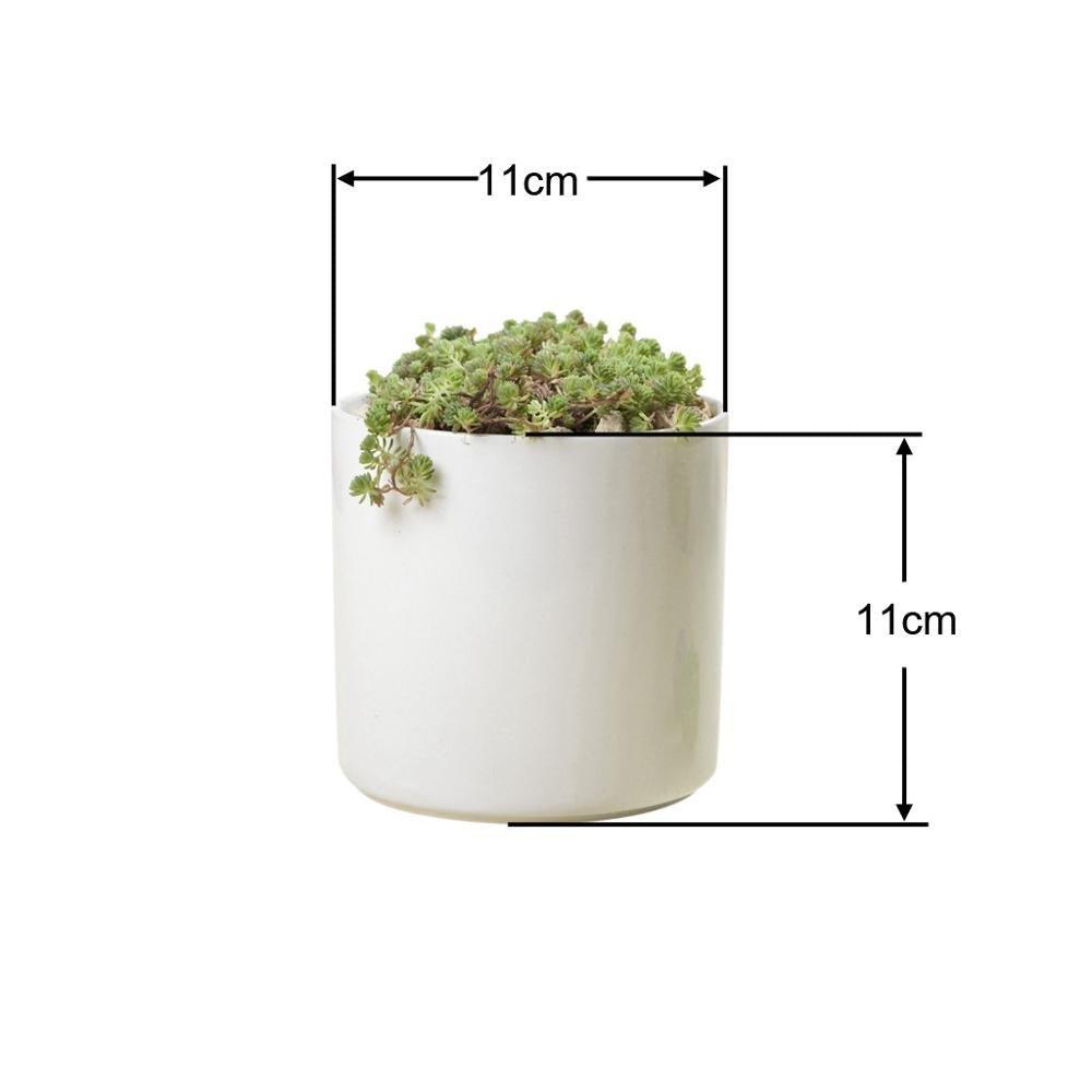 PP6 Cylinder Porcelain Succulent Desk Pot