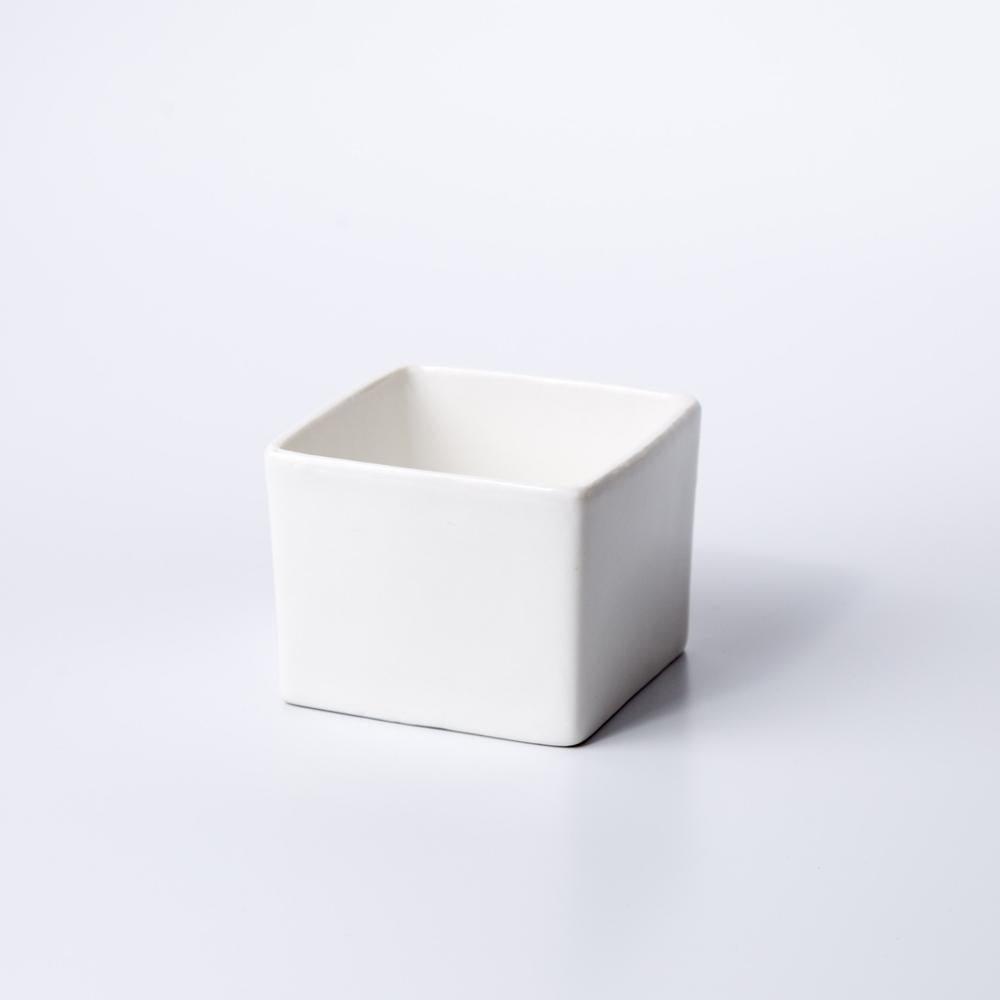 Token Size Square Porcelain Succulent Desk Pot PP8