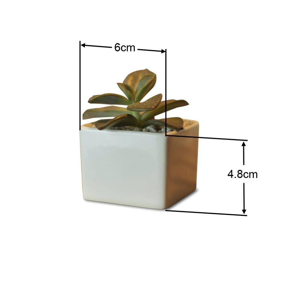 Token Size Square Porcelain Succulent Desk Pot PP8