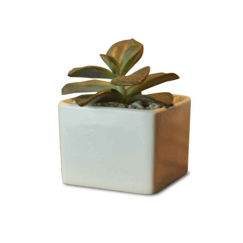 Token Size Square Porcelain Succulent Desk Pot PP8