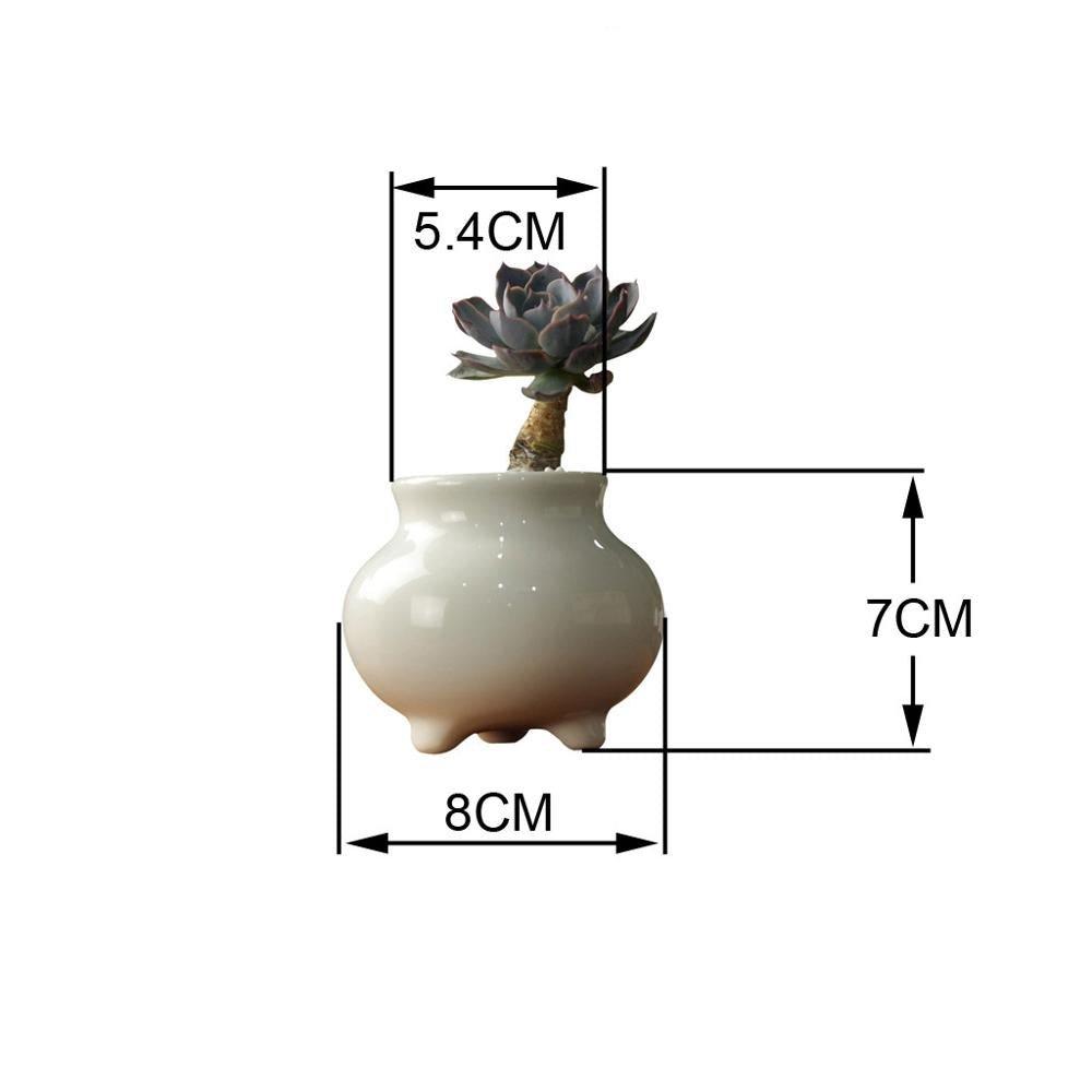 Succulent Zen Porcelain Pot