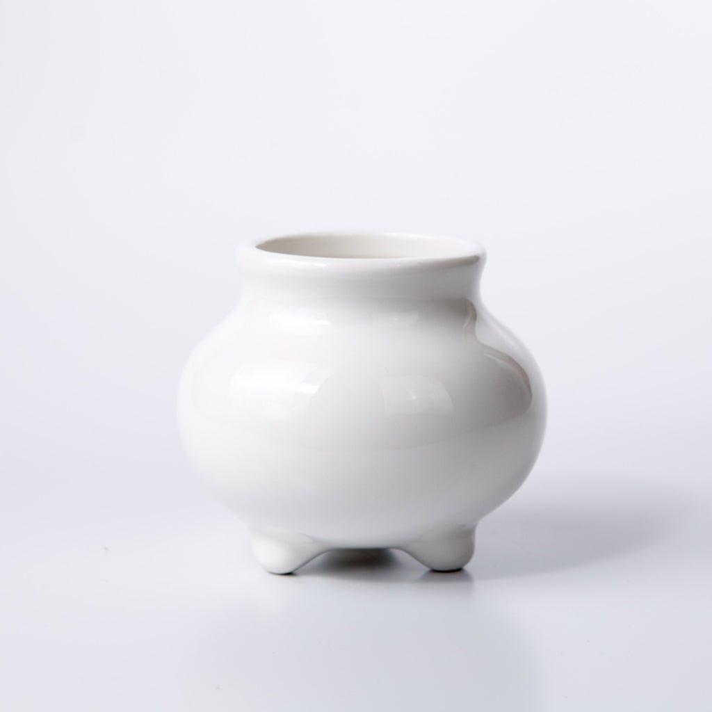 Succulent Zen Porcelain Pot