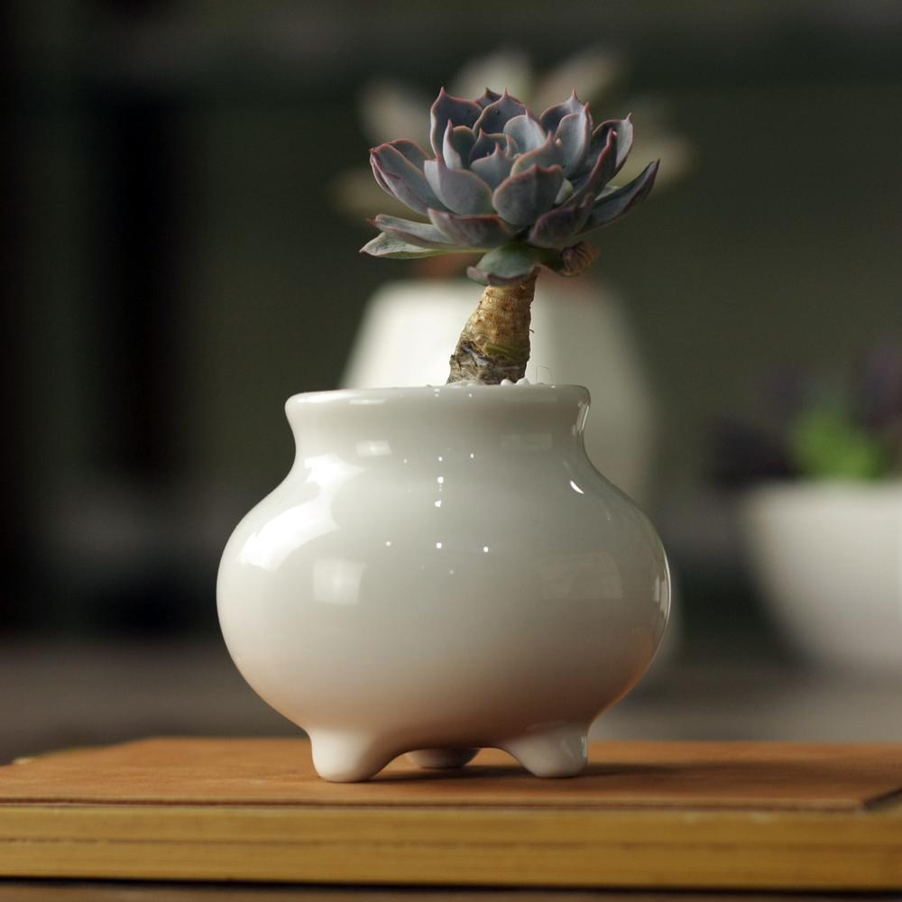 Succulent Zen Porcelain Pot