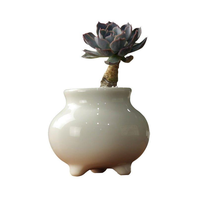 Succulent Zen Porcelain Pot