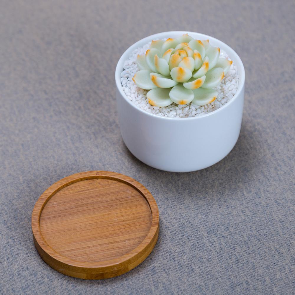 PP265 Short Porcelain Pot with Bamboo Catchplate
