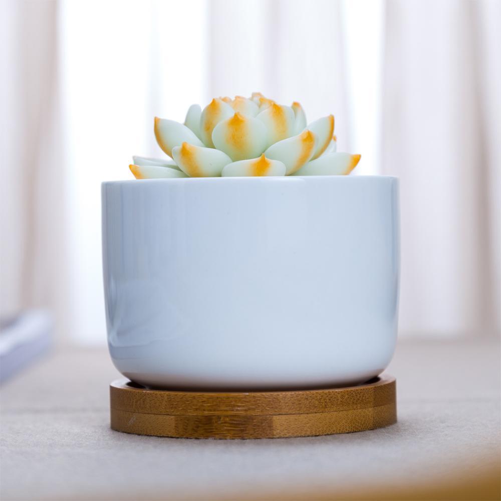 PP265 Short Porcelain Pot with Bamboo Catchplate