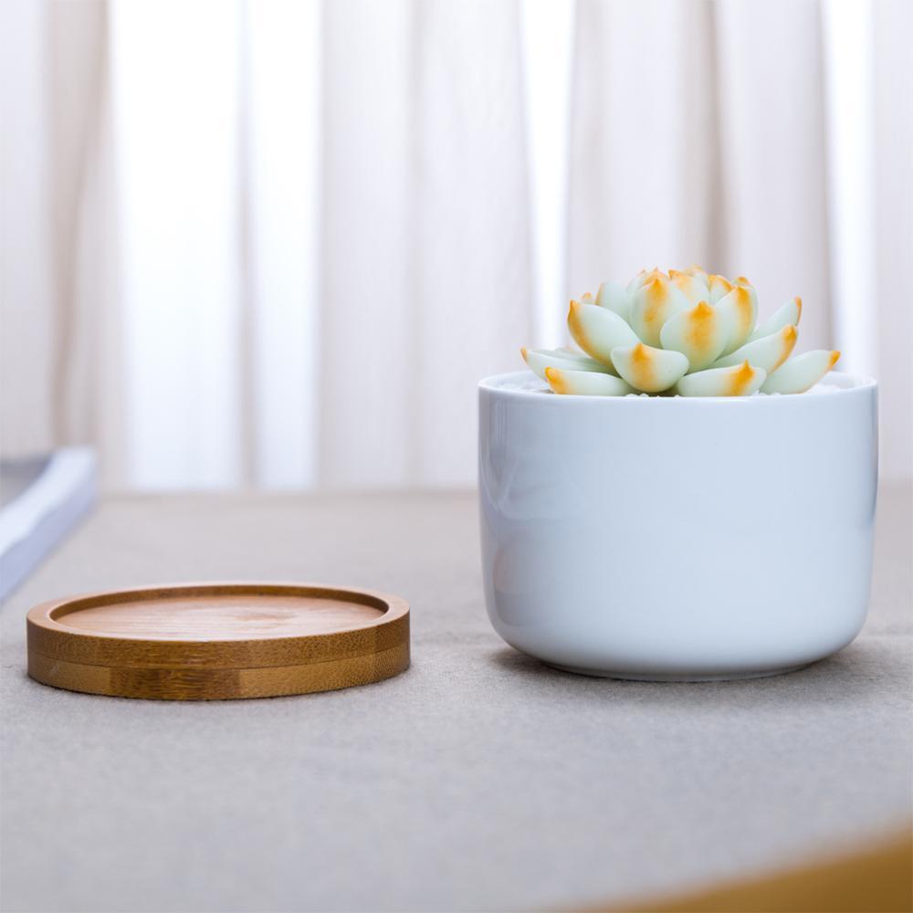 PP265 Short Porcelain Pot with Bamboo Catchplate