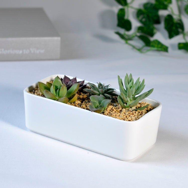 Rectangle Succulent Pot