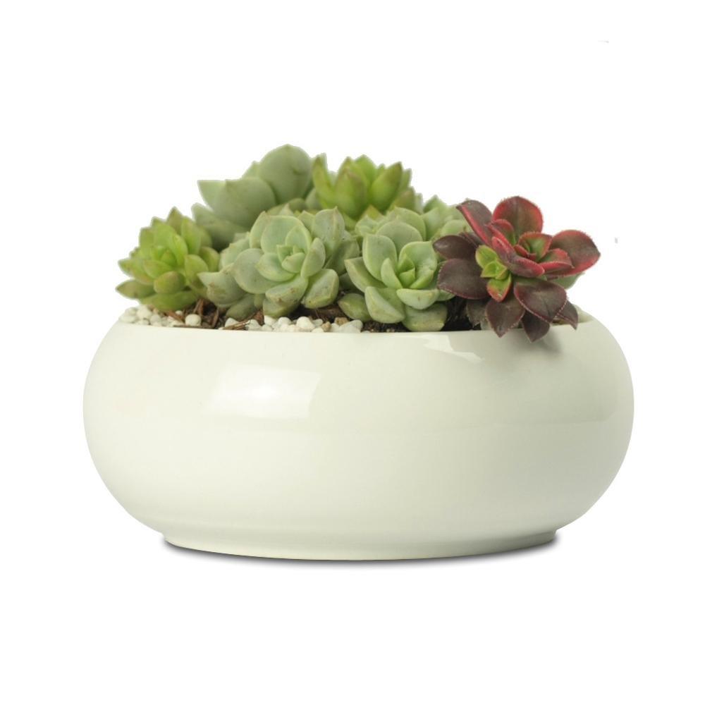Round Concave Porcelain Ceramic Dish Pot