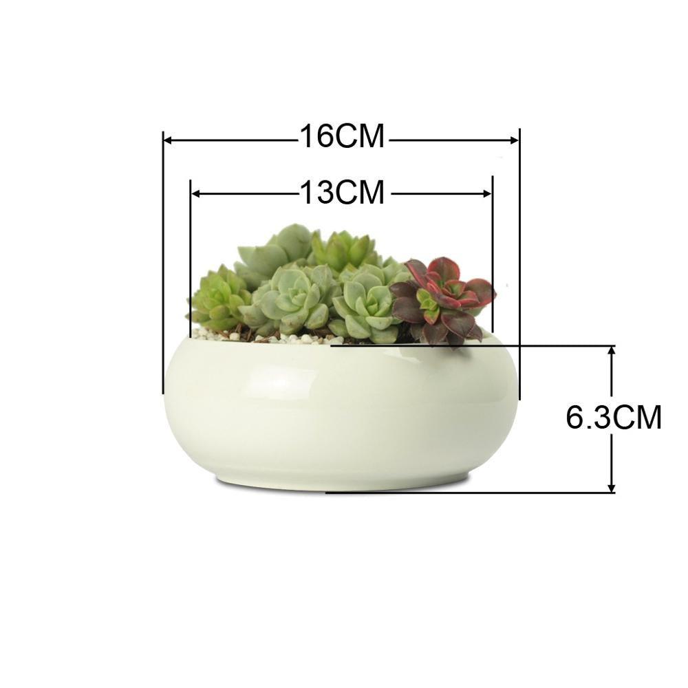 Round Concave Porcelain Ceramic Dish Pot
