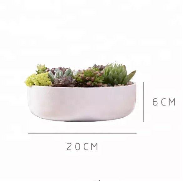 Round Porcelain Succulent Bonsai Dish