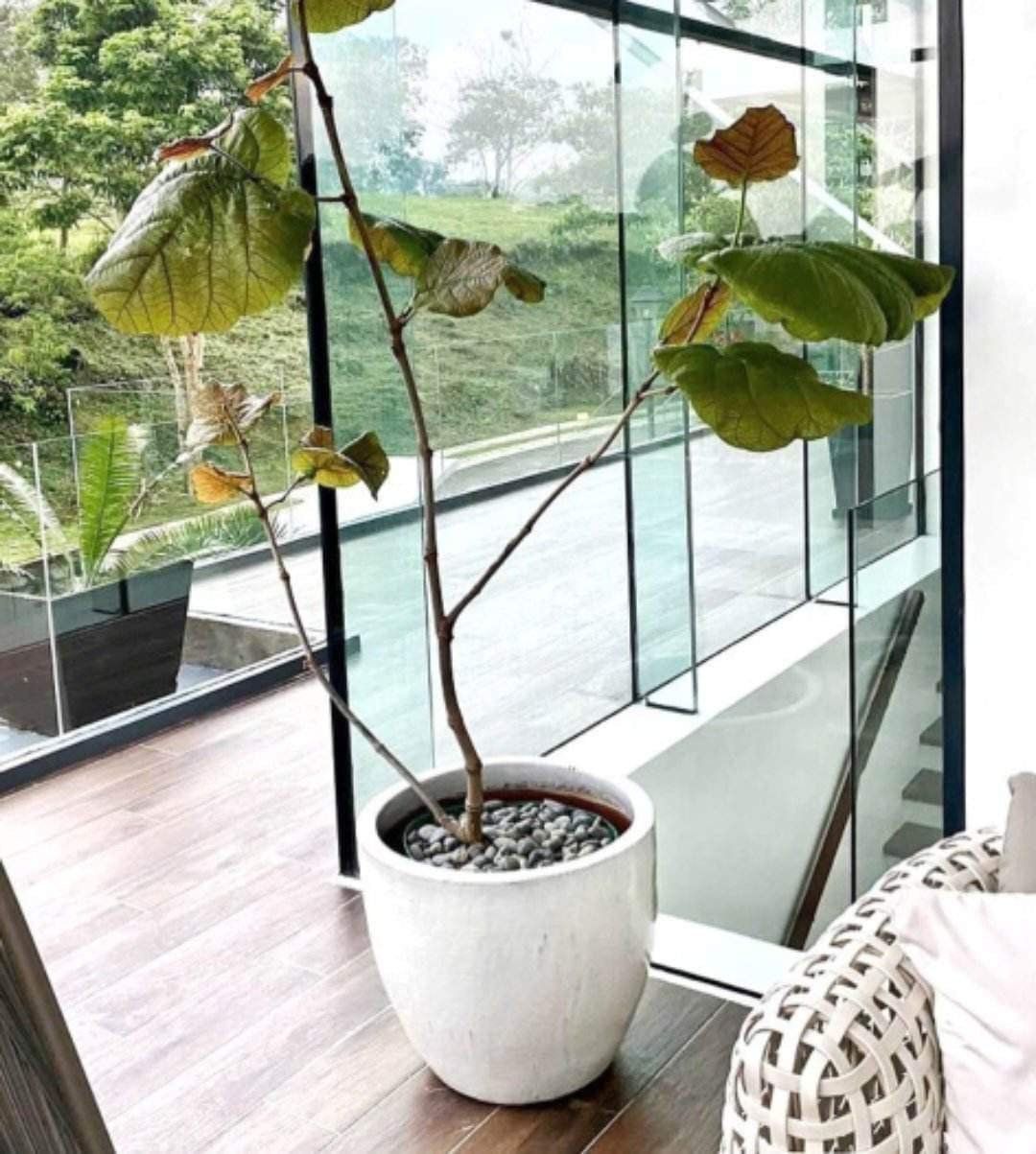 Round White Vietnam Earthenware Ceramic Planter