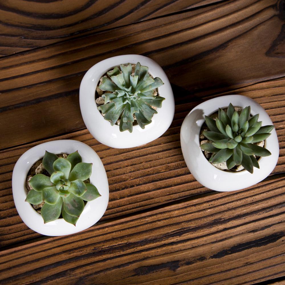 Roundish Square Porcelain Ceramic Succulent Desk Pot
