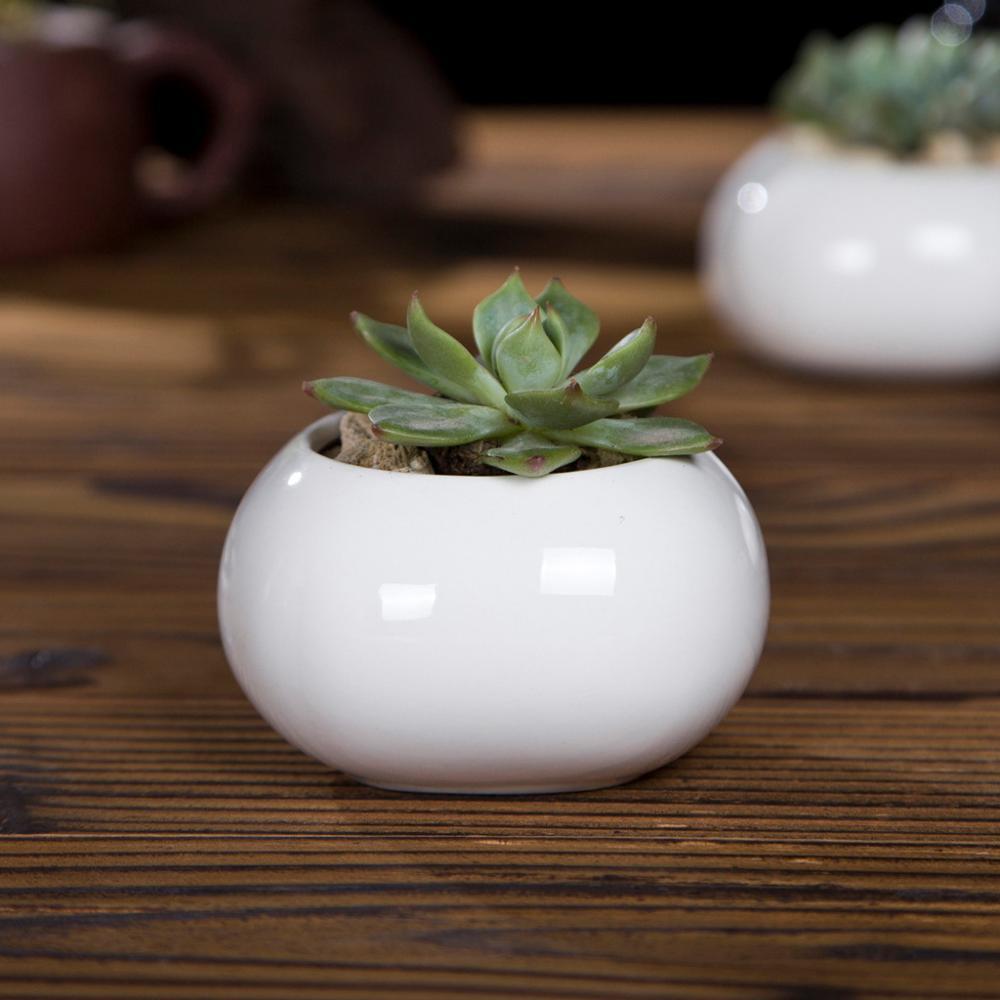 Roundish Square Porcelain Ceramic Succulent Desk Pot