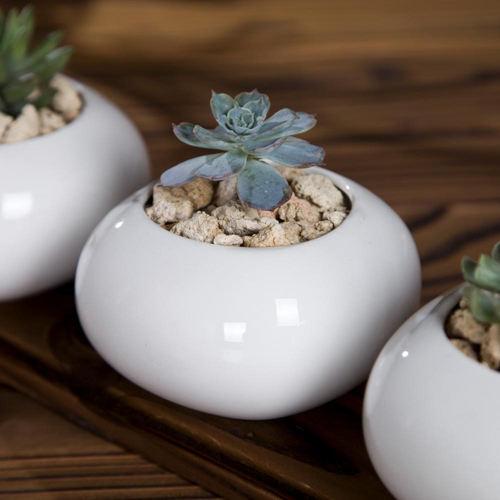 Roundish Square Porcelain Ceramic Succulent Desk Pot
