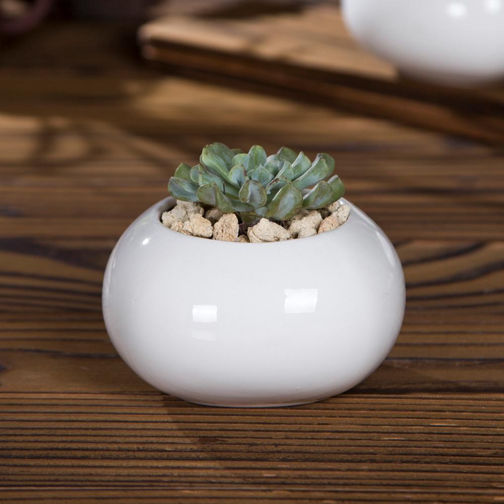 Roundish Square Porcelain Ceramic Succulent Desk Pot
