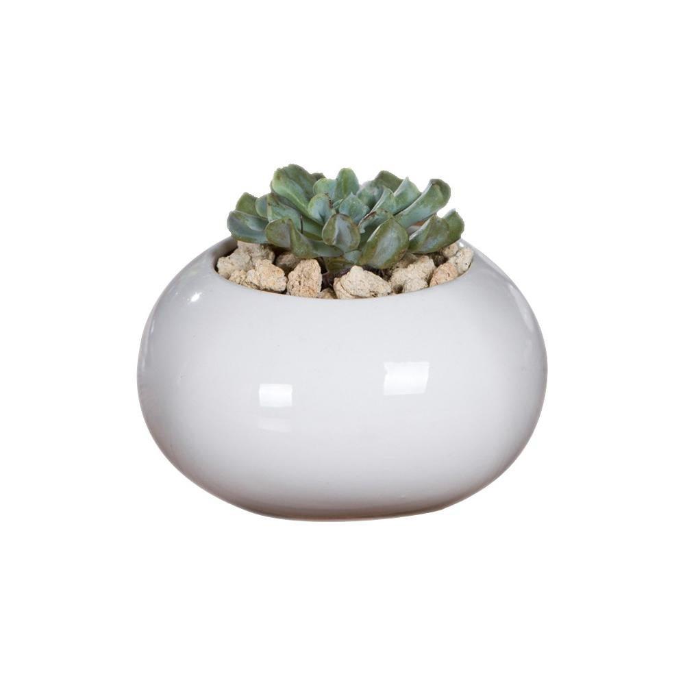Roundish Square Porcelain Ceramic Succulent Desk Pot