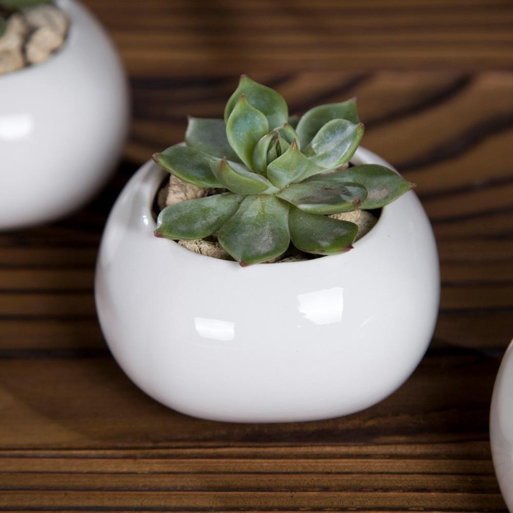 Roundish Square Porcelain Ceramic Succulent Desk Pot