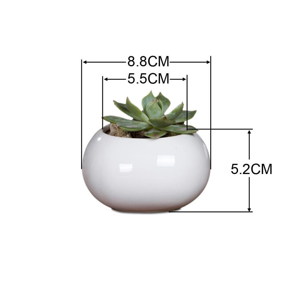 Roundish Square Porcelain Ceramic Succulent Desk Pot
