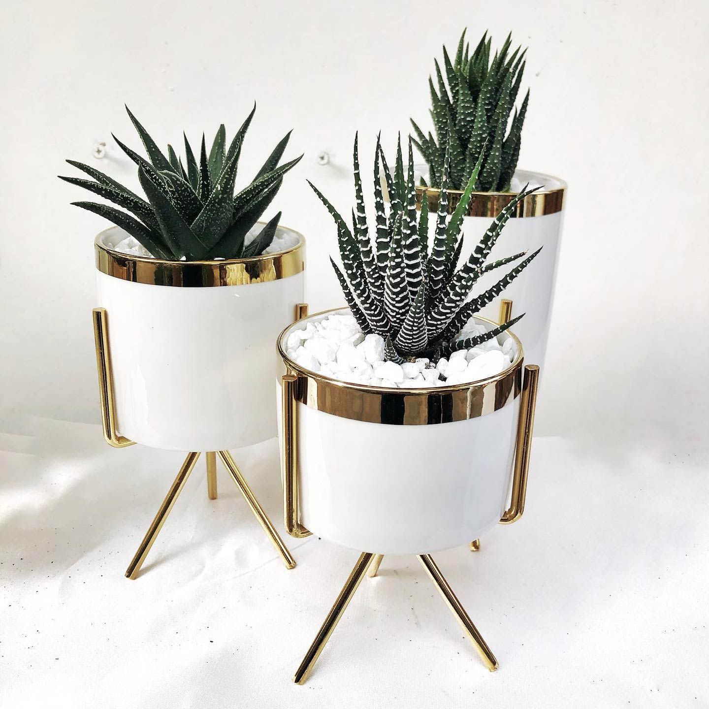 Set of Three Porcelain Pot with Gold Lining and Iron Stand