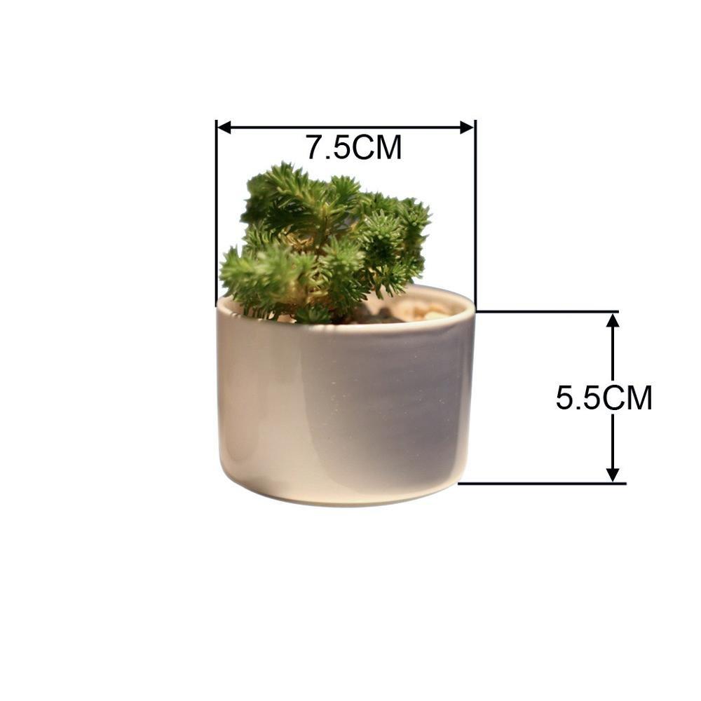 Short Cylinder Porcelain Succulent Desk Pot