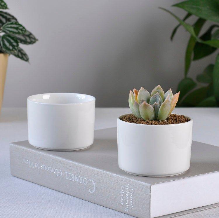 Short Cylinder White Porcelain Pot with Bamboo Saucer