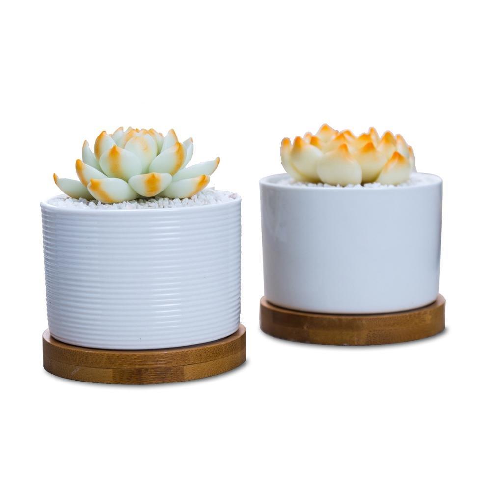 Short Cylinder White Porcelain Pot with Bamboo Saucer