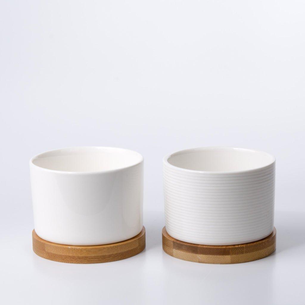 Short Cylinder White Porcelain Pot with Bamboo Saucer